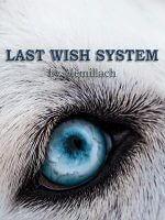 ภาพประกอบLast Wish System